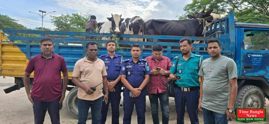 মাধবদী  একটি ডেইরি খামার থেকে চুরি হওয়া পাঁচটি হলেস্টান ফ্রিজিয়ান জাতের গাভী উদ্ধার গ্রেফতার ৬