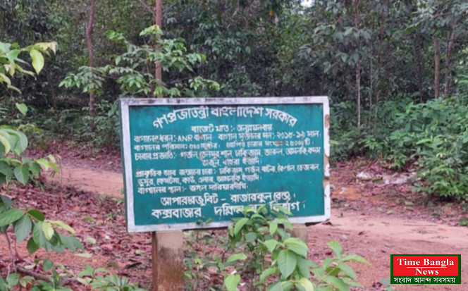 কক্সবাজার দক্ষিণ বন বিভাগের রামু রাজারকুল রেঞ্জের বিট কর্মকর্তার কোটি টাকার ঘুষ বাণিজ্য!