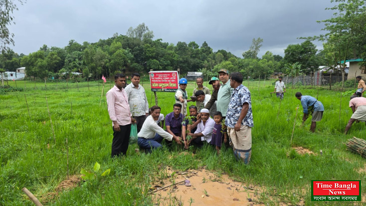 কক্সবাজার উত্তর বন বিভাগের ঈদগাঁও ফুলছড়ি রেঞ্জে ৮০ শতক জমি দখলমুক্ত করে বৃক্ষরোপণ সম্পন্ন