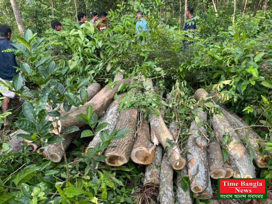 ফুলছড়ি রেঞ্জ ১৩ আকাশমনি গাছ কর্তন অপরাধীরা মামলা থেকে বাদ যেতে  মরিয়া!