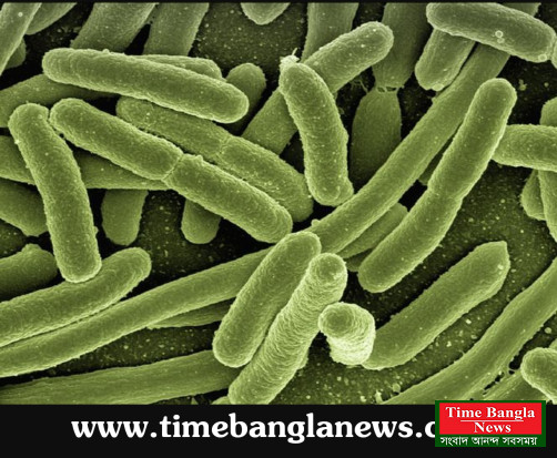 স্টেম সেল নিউট্রিশন পদ্ধতির চিকিৎসা বিশ্বব্যাপী আলোড়ন তৈরি করেছে।