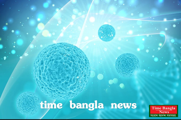 স্টেম সেল অ্যাক্টিভেটর: এগুলি কী এবং কীভাবে কাজ করে?