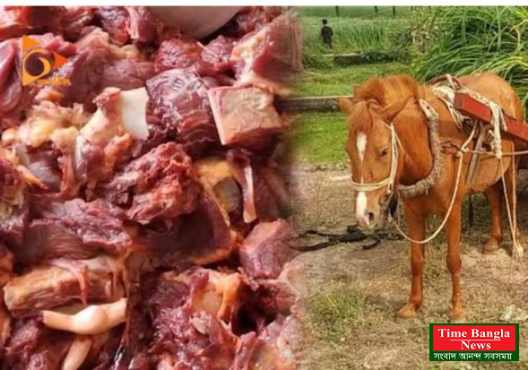 গোপালপুরে ঘোড়া জবাই চার কসাই আটক |