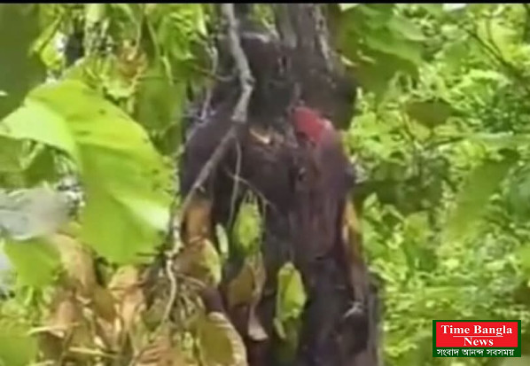 মির্জাপুরে জঙ্গলে নিখোঁজ গৃহবধূর মরদেহ উদ্ধার, এলাকায় চাঞ্চল্য।
