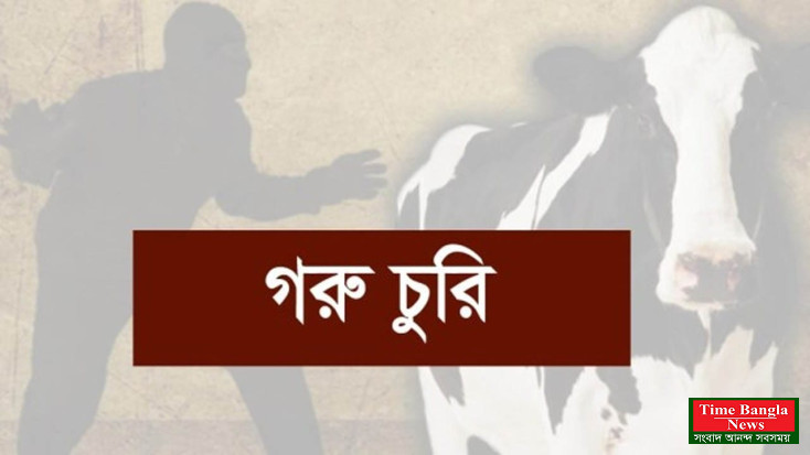 সংসারের একমাত্র সম্বল হারিয়ে মাথায় হাত নুরজাহান বেগমের।