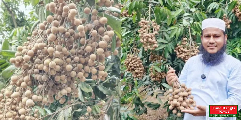 কাঠলিচুর ব্যবসায় সাফল্য, ১০ লাখ টাকার বিক্রি মনিরুজ্জামান