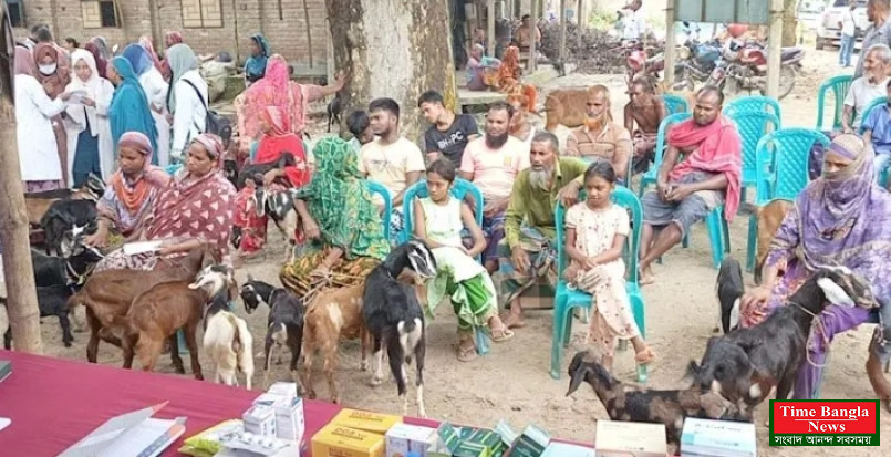 হাবিপ্রবির ফ্রি ভেটেরিনারি ক্যাম্পে চিকিৎসা পেল ১ হাজার ৮০০ পশু-পাখি