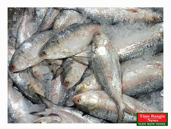 ভারতের ৫০০ টন ইলিশ এলো বাংলাদেশে,