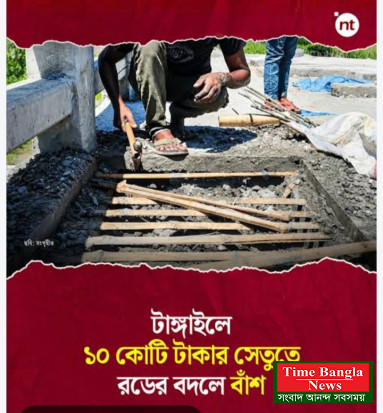 যতটুকু রড দরকার, ততটুকু নেই’ বাঁশ ও কাঠের কারুকাজে সেতু,,,,,