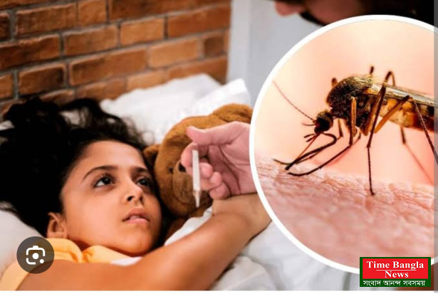 *ডেঙ্গুর শুরুতেই সতর্কতা, প্রথম ২৪ ঘণ্টাই গুরুত্বপূর্ণ* ।