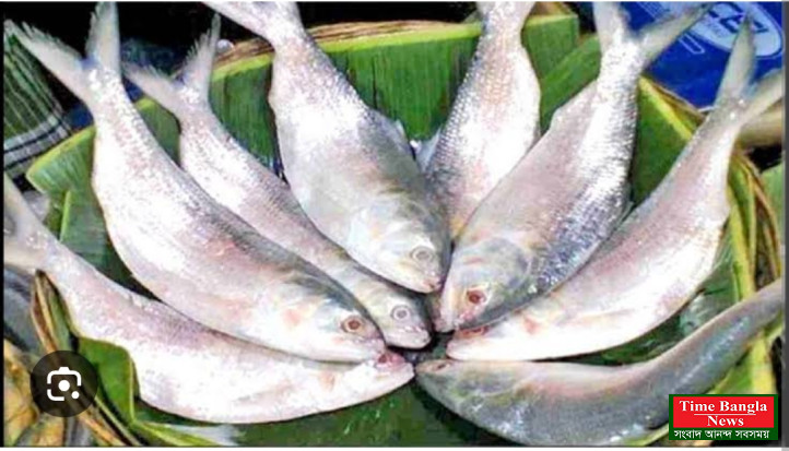 ড্রেজিংয়ে গভীর রাবনাবাদ, উজানে ডুবোচর।*