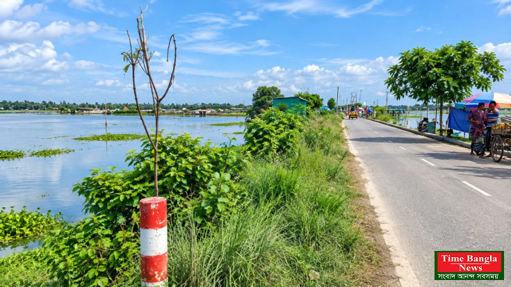 ৫০ টাকার গাছ ৪০০ টাকায়, এক মাসেই মরে যায়।*