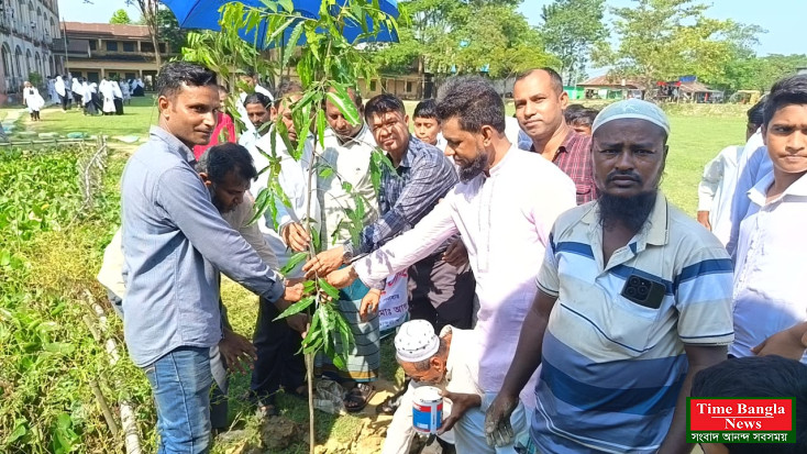 ছাতকে হাজী আব্দুল খালিক স্কুলে আবুল হাসানের অর্থায়নে ফল ও বনজ চারা রোপণ