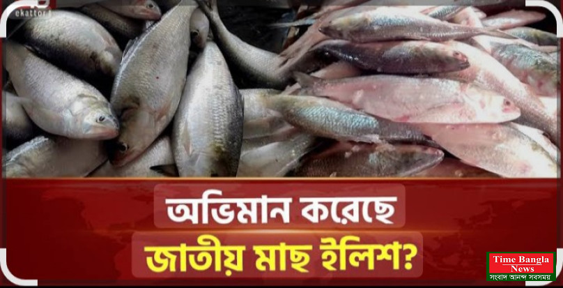 বাংলাদেশের নদী ছেড়ে ইলিশ নতুন ঠিকানা খুঁজে নিয়েছে কি?
